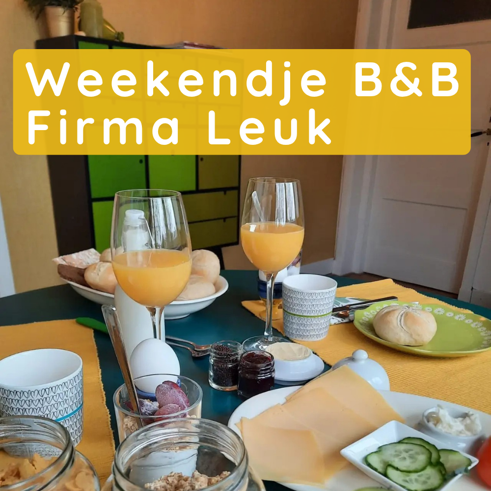 Weekendje weg B&B Firma Leuk in Assen