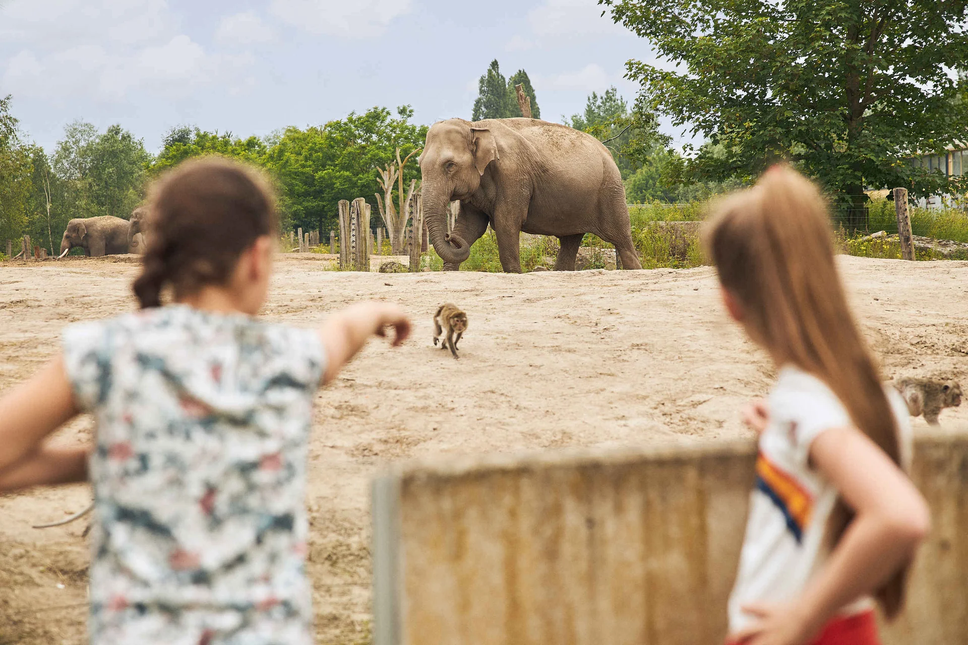 4x Entreeticket Eindhoven Zoo