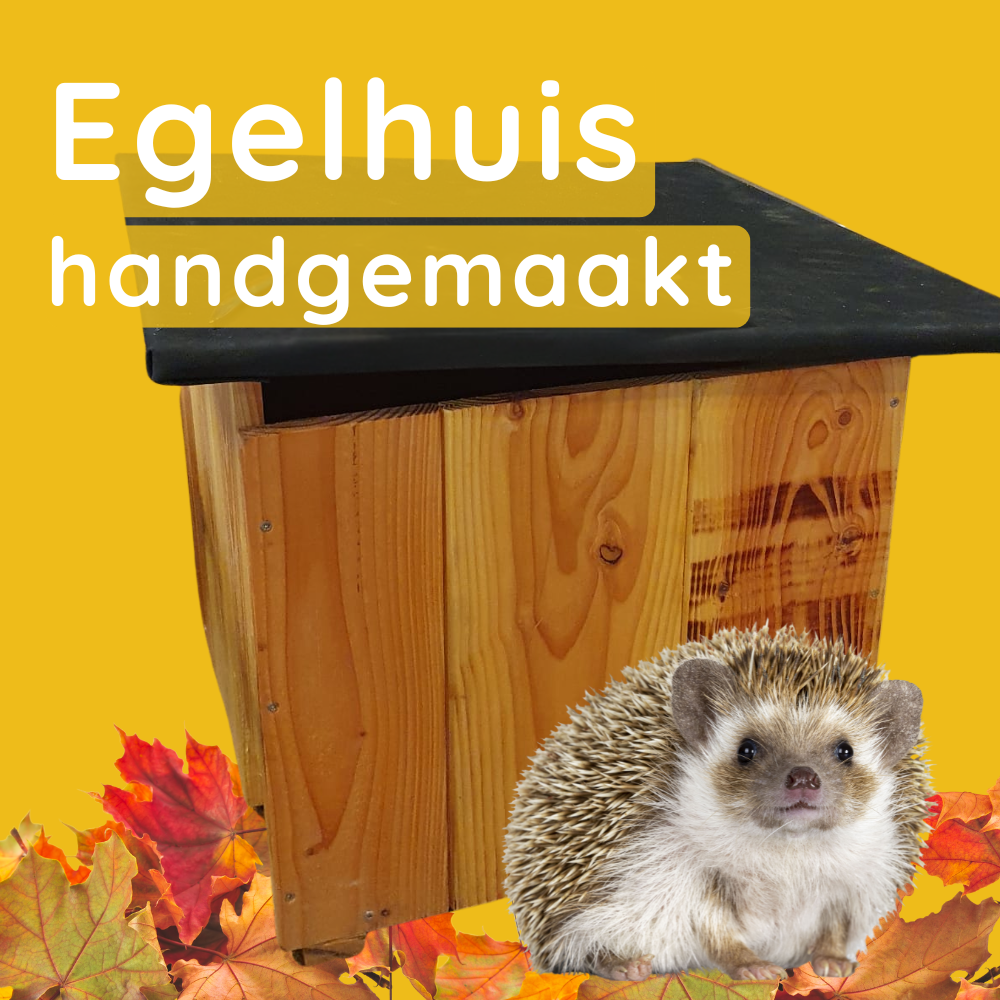 Handgemaakt egelhuis