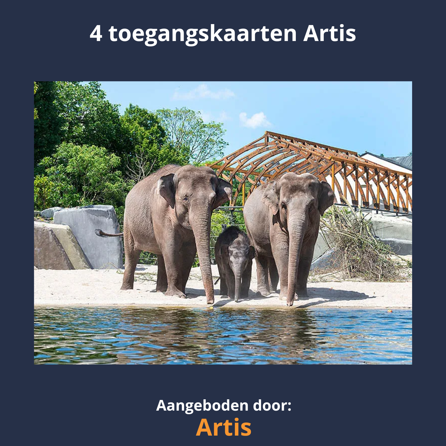 4 toegangskaarten voor Artis: de dierentuin van Amsterdam, en één van de vijf oudste ter wereld.